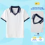 Áo Polo Nữ Yody Slimfit Cổ V Phối Màu WCPO26S008