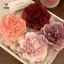 Kẹp Tóc Mẫu Đơn Retro Pháp Hoa Lãng Mạn Kẹp Bên Kim Cương Giả Kẹp Tóc Nữ Mũ Barrette Cô Dâu Mũ Đội Đầu [Mina]