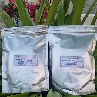 Combo bộ men ủ tỏi, ủ men thứ cấp Bio Phương Nam (túi Vem gốc và túi Phụ Gia dinh dưỡng gốc bột)