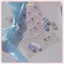 JRP Shining Aurora Seashells Light Bow Nail Stiers 5D Nail Art Design Đề can trang trí DIY Làm móng tay JRP