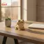 Tượng thằn lằn rồng râu đáng yêu in 3D Quà tặng sáng tạo cho những người yêu thích bò sát Trang trí bàn tại nhà [VN]