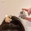 PNPIA- Hoạt Hình Kawaii Sang Trọng Gấu Koala Trang Trí Tóc Kẹp Tóc Động Vật Dễ Thương Vuốt Tóc Cho Bé Gái Barrettes Mũ Phụ Kiện