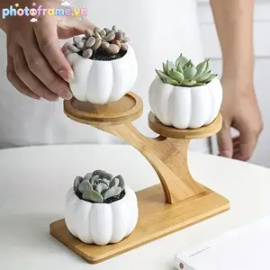Khung Ảnh Kệ Tre 2 Tầng Cho Văn Phòng Gia Đình Thiết Kế Nhỏ Gọn Hoàn Hảo Cho Gia Đình Và Văn Phòng Để Bàn Và Ban Công Trang Trí Nhà Tổ Chức VN