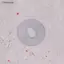 Ziyulinyuk Câu Cá Mồi Kéo Clier Bộ Máy Giặt Cho Thế Hệ Thứ 5 Phải Dụng Cụ Câu Cá Phần Phụ Kiện VN