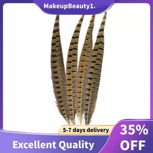 Touch of Nature Ringneck Pheasant Feathers 4 / Chiếc, Tự Nhiên