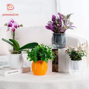 Chậu cây tự tưới nước PWSEND, Chậu hoa để bàn trong suốt thấm nước tự động, Bình hoa hai lớp bền bằng nhựa sáng tạo