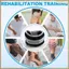 Bộ trọng lượng cổ tay / mắt cá chân gồm 2 dây đeo trọng lượng chân mô-đun 750g dành cho Yoga, đi bộ, chạy bộ, aerobic-Đen cho nam giới dành cho nữ