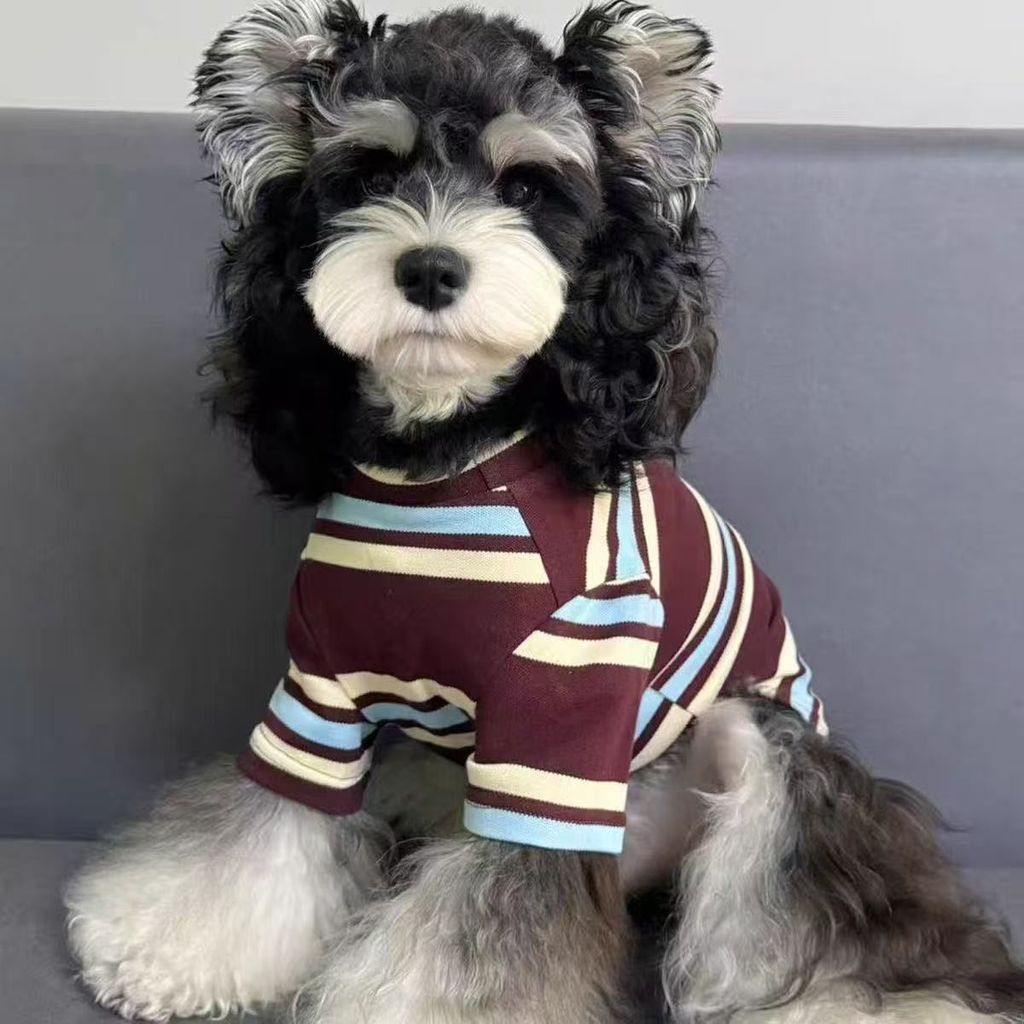 Teddy Schnauzer Pomeranian Pet Áo thun chó nhỏ Quần áo mèo mùa thu đông sọc tay ngắn