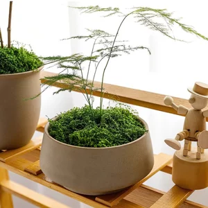 Rêu giả, rêu nhân tạo, rêu nhung phủ gốc cây trang trí, làm thủ công, DIY