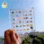 Hộp trưng bày vỏ sò từ tính Acrylic Seashell Clear Starfish Trinket Organizers 36 / 64 / 100 Lưới Hộp đựng vỏ sò Mini ELWW