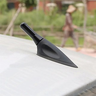 Ăng ten bằng sợi Carbon và hợp kim nhôm cho xe hơi