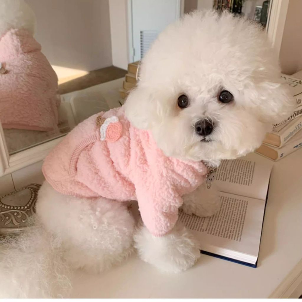 Mùa Đông Thú Cưng Lông Cừu Lót Áo Ấm Có Mũ Trùm Đầu Quần Áo Cho Chó Teddy Bichon Schnauzer