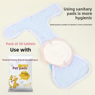 Quần sinh lý phổ biến cho chó Teddy Quần kinh nguyệt Quần dì Quần chống quấy rối Thích hợp cho chó nhỏ