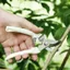 Kéo cắt tỉa bằng thép không gỉ để làm vườn và sử dụng trong gia đình