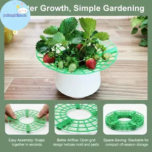 Pufangbliss Dâu Tây Hỗ Trợ Chân Lớn Lên Nhựa Chống Thấm Nước Tròn Trồng Ra Cho Bayard Vườn Quả Trồng VN