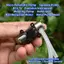Máy bơm ép Micro GE DC 3.7V N20 Mini Peristaltic Full Metal Gear Metering Pump cho bộ dụng cụ thí nghiệm Xử lý chất lỏng DIY Sử dụng VN