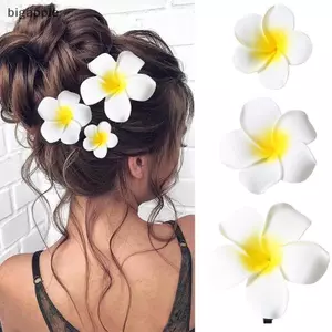 Kẹp Tóc Hoa bigapple Plumeria Cho Nữ Bé Gái, Bộ 2 Kẹp Tóc Hawaii RDG