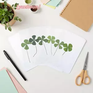 1 / 5 / 10 Cái Bưu Thiếp Cỏ Ba Lá Luy Thẻ Chúc Trong Suốt Cỏ Tự Nhiên Cho Dấu Trang