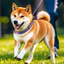 HamshMoc Pet Cổ Đa Chế Độ Hai Thiết Kế Sử Dụng Thoải Mái Phù Hợp Với D Vòng Tập Đi Hàng Ngày