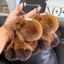PNPIA- Rex Lông Thỏ Cung Hoàng Đạo Ngựa Móc Khóa Sang Trọng Đồ Chơi Kawaii Pony Túi Búp Bê Mặt Dây Chuyền Trang Trí Bapa Treo Quà Tặng Năm Mới