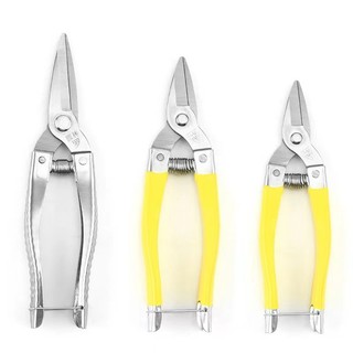 Kéo tỉa cam lưới hái trái cây inox, dùng cho vườn hoa, vườn cây ăn quả
