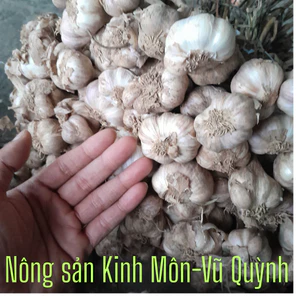 Tỏi ta khô Kinh Môn HẢI DƯƠNG Nông sản Làng Việt