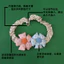 Kẹo Macaron / Thú Cưng Chó Mèo Corgi Teddy Shiba Inu Nơ Cầu Vồng Cổ Hoa Yếm Trang Sức