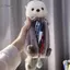 GCDHome Sang Trọng Biển Otter Hộp Đựng Bút Di Động Bút Đánh Dấu Giá Đỡ Đồ Dùng Học Tập Hoạt Hình Mềm Bút Chì Túi Đựng Bút Trang Điểm HOT