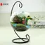 Giá đỡ cây sắt 1X 23cm 9 "cho bình treo thủy tinh trong suốt Trang trí nội thất VN