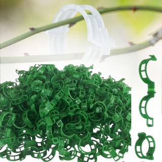 Kẹp cây nhựa an toàn nâng cấp 2026 Kẹp hỗ trợ cây mùa hè Kẹp cố định cây leo trong vườn Kẹp hỗ trợ cây trồng Kẹp vườn có thể tái sử dụng 50 chiếc Kẹp cà chua 100 chiếc 200 chiếc dễ sử dụng
