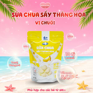 Sữa Chua Sấy Khô YoBite Kids 20Gr Vị Chuối - Bổ Sung Lợi Khuẩn Probiotics - Hỗ Trợ Ăn Dặm Cho Bé 6M+