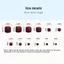 Khung Ảnh 24 Chiếc Màu Trơn Đơn Giản Móng Chân Stiers Full Stier Full Toenail Stiers Ngón Chân Đơn Giản Có Thể Tháo Rời Móng Chân Stiers VN