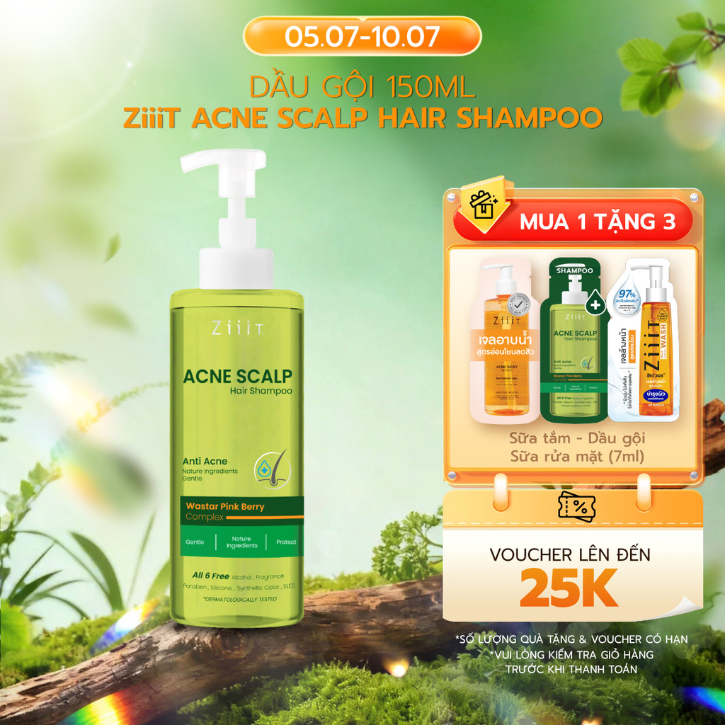 Dầu Gội Hỗ Trợ Kiểm Soát Dầu Làm Phồng Tóc Giảm Ngứa Và Làm Sạch Da Đầu ZiiiT 150ml/300ml