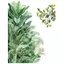 XUAN Lá Xanh Tường Stiers Cho Gia Đình Phòng Khách Trang Trí Vinyl Decal Dán Tường Thực Vật Nhiệt Đới DIY Kid Cửa Bức Tranh Tường Giấy Dán Tường VN