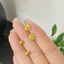 Khuyên tai titan cao cấp mạ vàng 24k thiết kế hình hoa hồng thời trang nhẹ nhàng tinh tế dành cho nữ