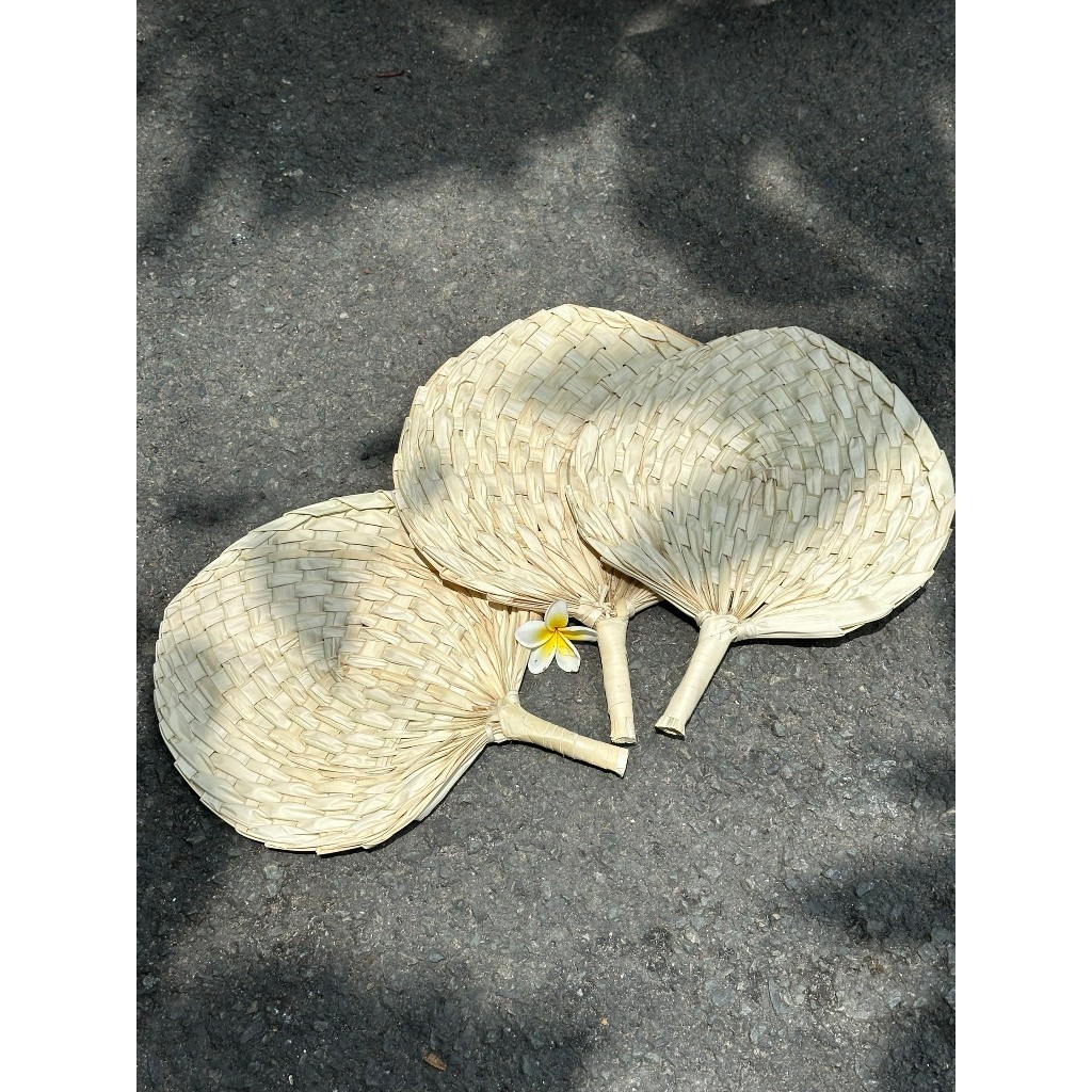 Quạt nan cầm tay, quạt lá hàng tự nhiên, đan tay, đồ trang trí decor chụp ảnh, quạt máy nhẹ mát,quạt cho bé, mây, cói