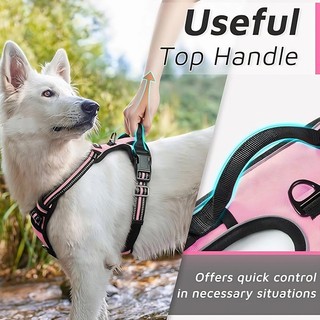 Dây xích chó lớn vừa phải Phong cách Áo Vest Dây đeo ngực chống cháy nổ Corgi Labrador Dây xích đi bộ cho chó