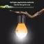 Đèn lồng cắm trại ngoài trời Đèn LED Mini chạy bằng pin Bóng đèn khẩn cấp nhẹ cho lều Đi bộ đường dài Câu cá đêm phiêu lưu [MỚI]