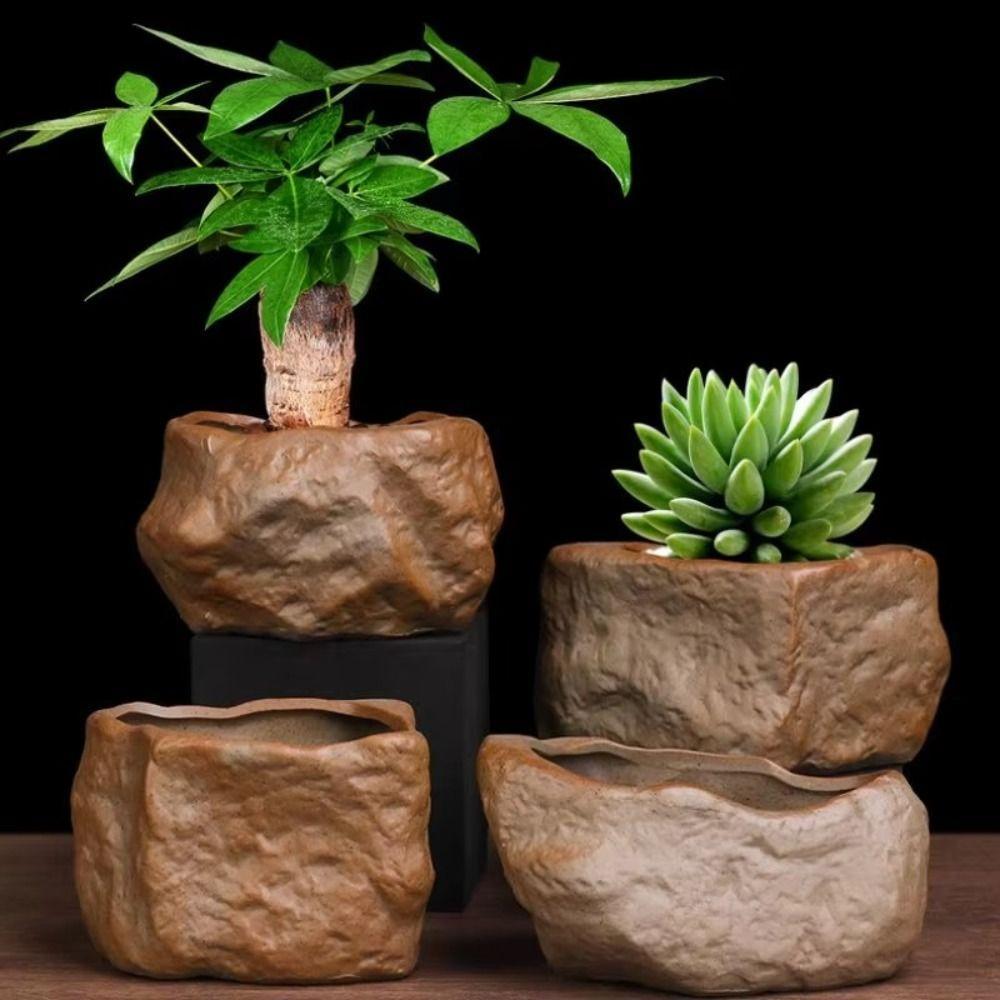 Chậu cây mọng nước DAYONE, có lỗ thoát nước Hình dạng đá Chậu hoa thực vật, Gốm sứ Mini chống mài mòn Cây trồng Hộp đựng trang trí nhà cửa