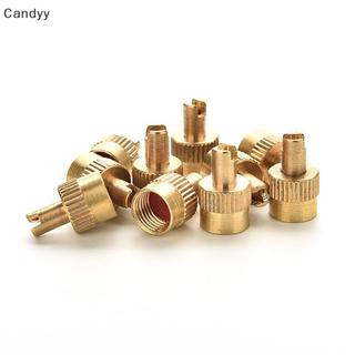NDY 10 Chiếc Xe Chrome Kim Loại Có Rãnh Nắp Thân Van Có Dụng Cụ Tẩy N