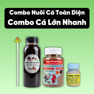BETTA CARE - Combo Nuôi Cá Toàn Diện - Combo Cho Người Mới Nuôi Cá