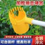 Dụng cụ hái quả bằng thép không gỉ chuyên dụng cho trái cây như táo gai, dâu tằm, cây bách xù, thiết kế tiện lợi cỡ lớn 7.4 ZWRV
