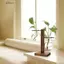 DELMER Chậu Hoa Bình Hoa Thủy Canh Cây Cưới Đảng Bình Thủy Tinh Terrarium Nhà Cây Cảnh Trang Trí