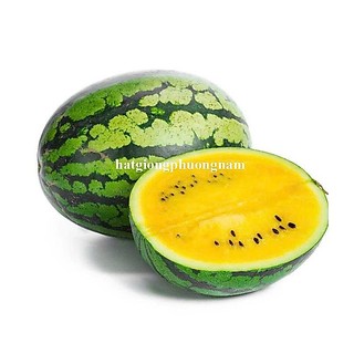 10 Hạt - Hạt Giống Dưa Hấu Ruột Vàng Phương Nam