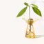 Bình thủy canh sọc dọc Trang trí thủy tinh màu trong suốt để trưng bày hoa nhỏ [VN]