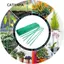 CATIYAHA 10 / 30 Chiếc Tre Dính Vườn Nóng Trellis Chảy Sắp Xếp Cây Xanh Hỗ Trợ