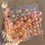 Hộp trưng bày vỏ sò từ tính Acrylic Seashell Clear Starfish Trinket Organizers 36 / 64 / 100 Lưới Hộp đựng vỏ sò Mini ELWW