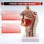 Mũi Cavity Cổ họng Mô hình Giải phẫu Con người Pharynx Larynx Mô hình dành cho sinh viên Nghiên cứu Hiển thị Giảng dạy