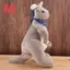Đồ chơi búp bê nhồi bông Kangaroo ngọt ngào dành cho trẻ em (Xanh dương)
