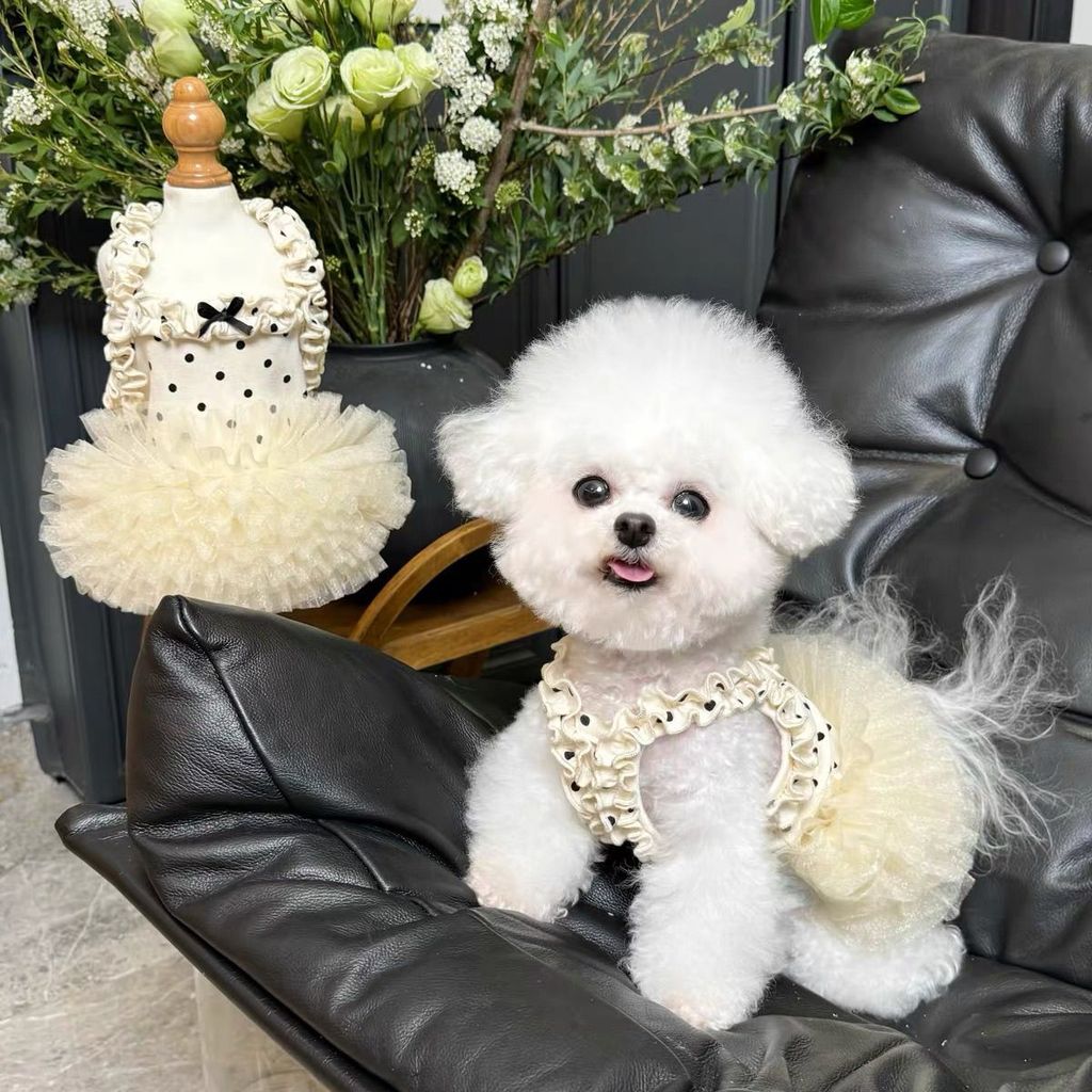 Đầm Sling Thú Cưng Thoáng Khí Mùa Hè Phong Cách Công Chúa Teddy Chó Mèo Chấm Bi Đầm Ren